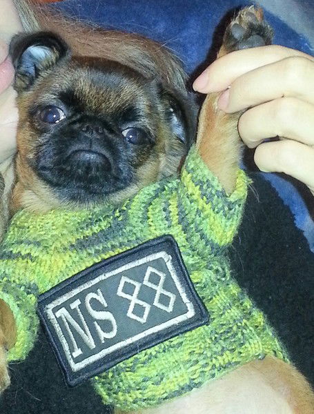 Алексей Корнилов