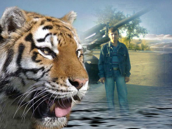 Александр Щербаков