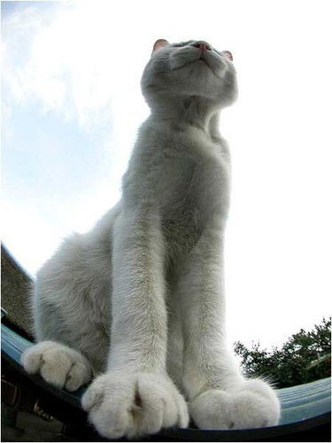 Хуан Карлос