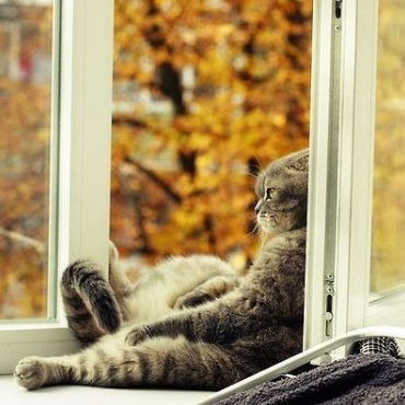 Татьяна Грищенко