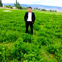 Arzu M