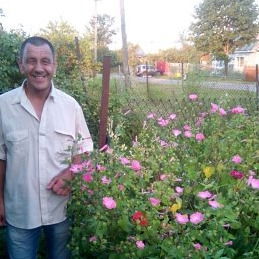 Владимир Поверов