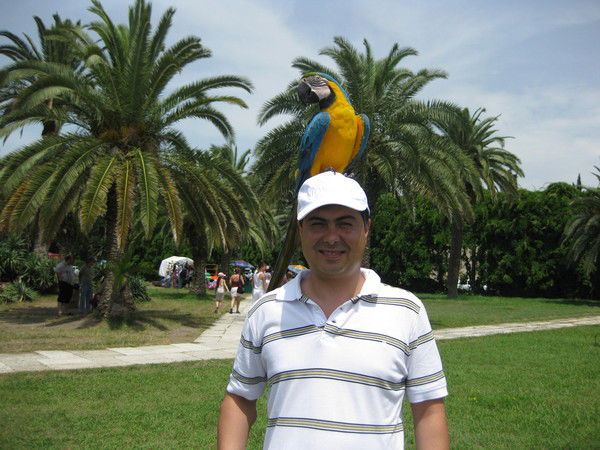 Алижон Носиров