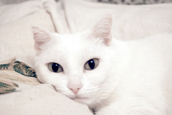 Марина Епишкина