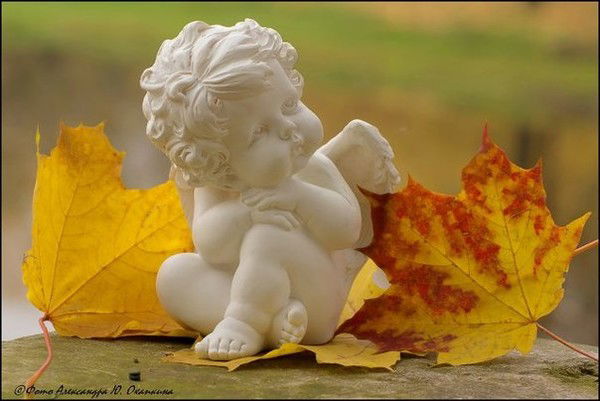 Елена Боднарчук