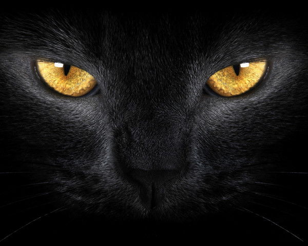 Рушания Фахрутдинова