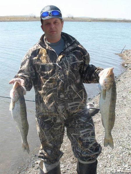 Сергей Чередниченко