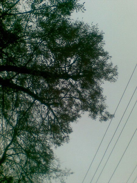 Alekhotty Интересно