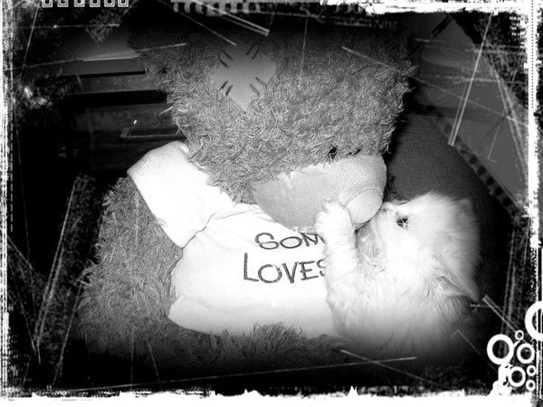 Наталья Приходько