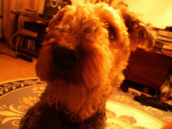 Светлана Михайленко