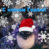 Таня Васильева