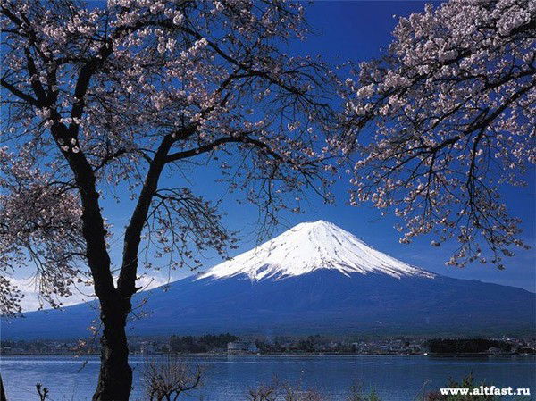 Айя Айтыкова