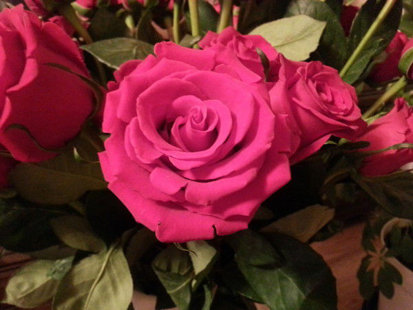 Валерия Токарева