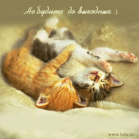 Инна Юрьева