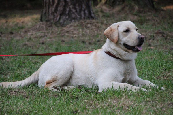 Татьяна Мондшайн