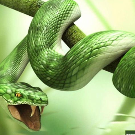 Захар Новоселов