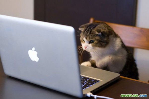 Оксана Шевченко