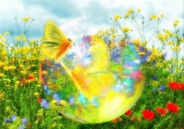 Марина Гришина