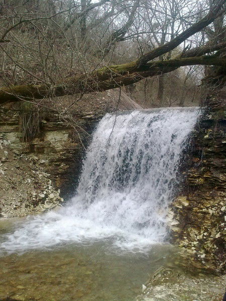 Артур Куштов