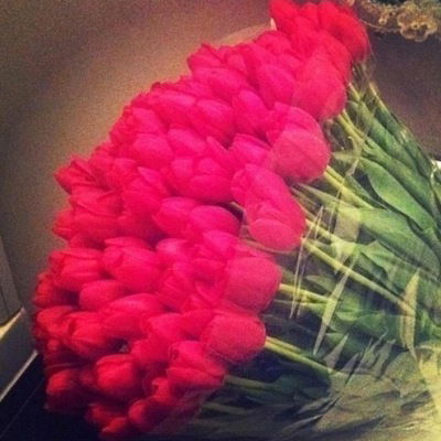 Таня Ивонова