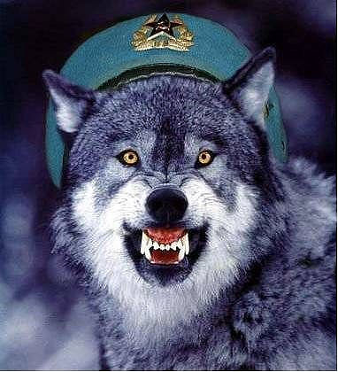 Одинокий Волк