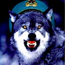 Одинокий Волк