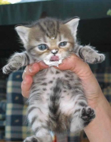 Виктория Ущаповская