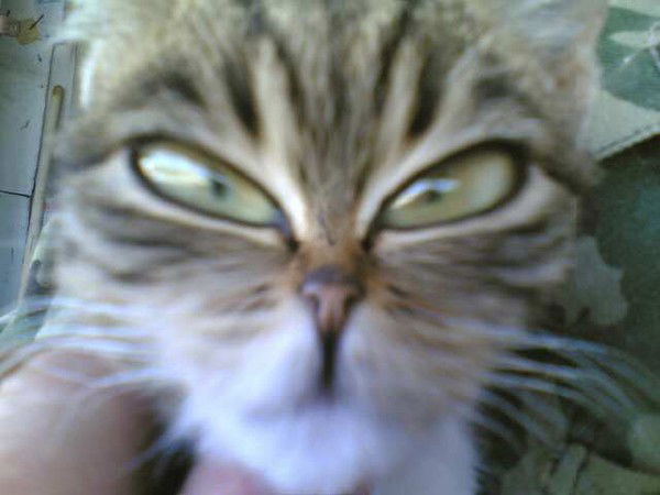 Aleksandr Borislavskiy