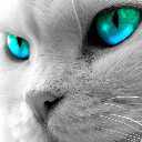 Алина Лисихина