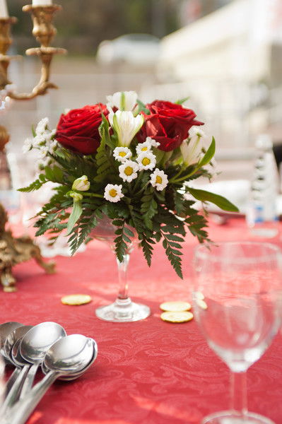 Алла Лесниченко