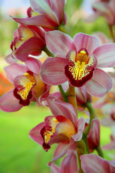 Гульмира Айнабекова