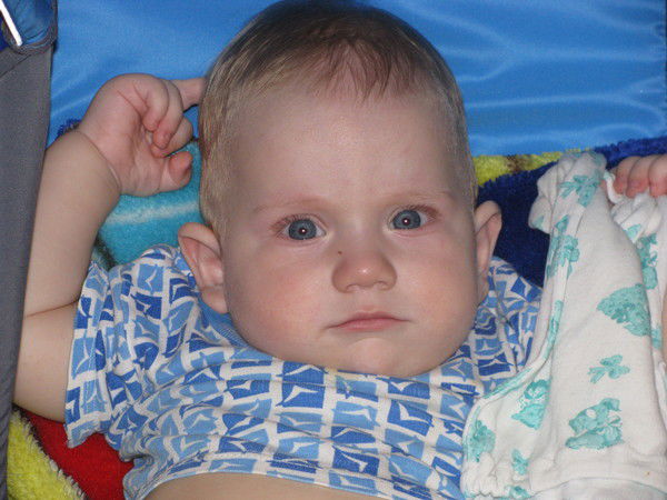 Владимир Литеча