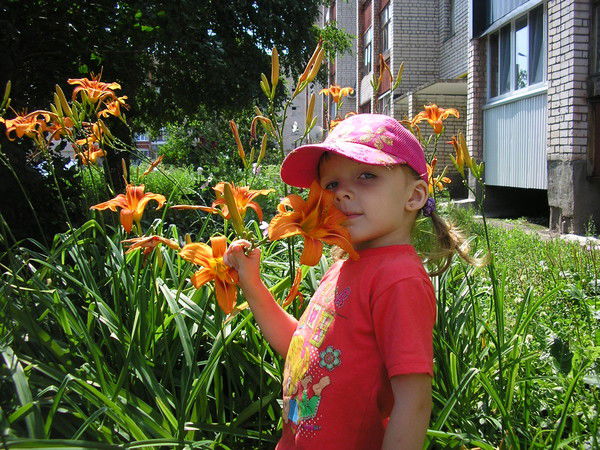 Виктория Шевяхова