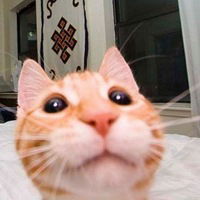 Роман Нурманов