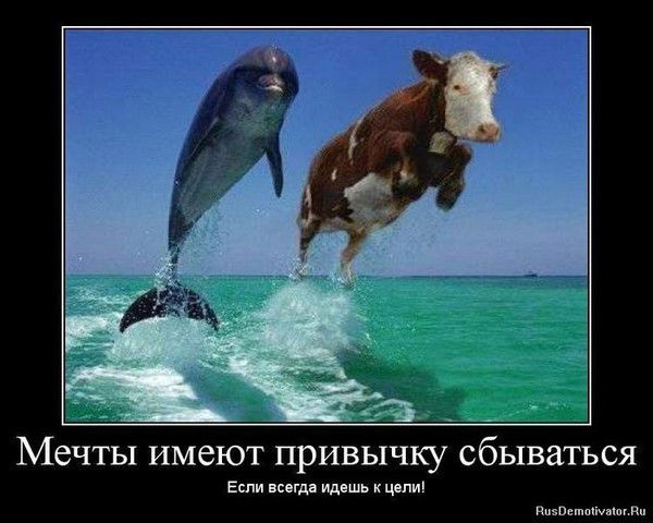 Игорь Вербицкий