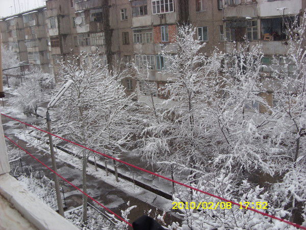 Рустем Мустафаев