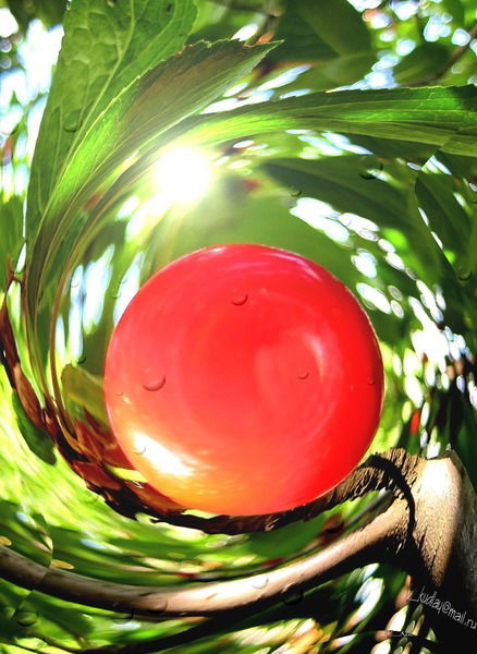 Айгуль Иманова