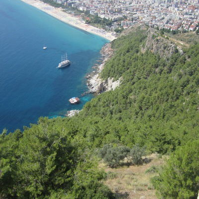 Оксана Шевченко