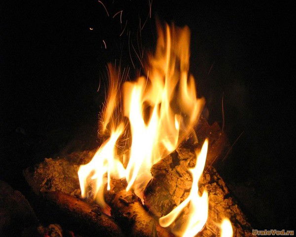 Дарья Доставалова