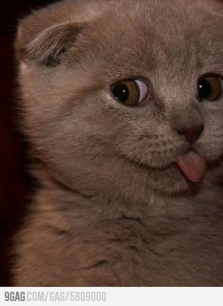 Наталья Брусленко