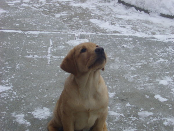 Валентина Хабибулина