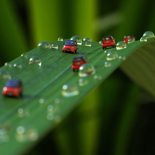 Вера Соколова