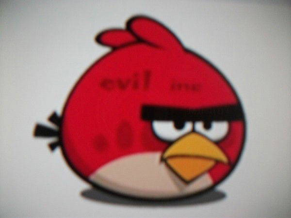 Динуля Кимуля