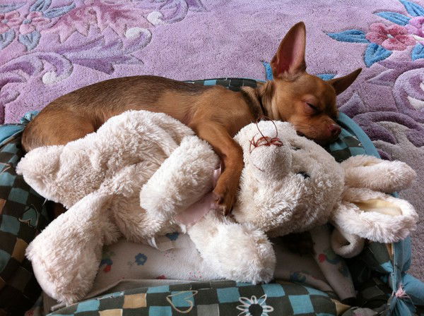 Ульяна Гусева