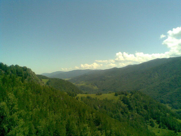 Алексей Янышевский