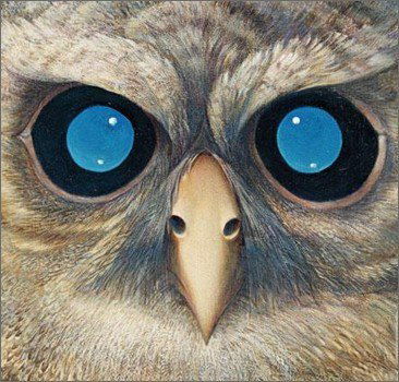 Никита Харитоненко