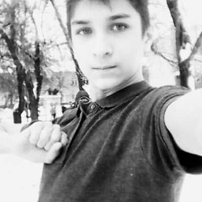 Дмитрий Николаев