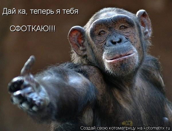 Сергей Зайцев