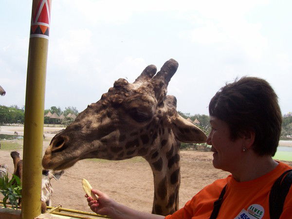 Светлана Тураисова