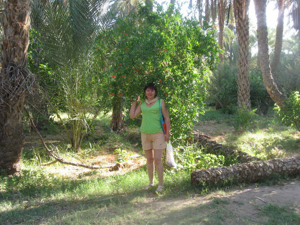 Елена Ширяева